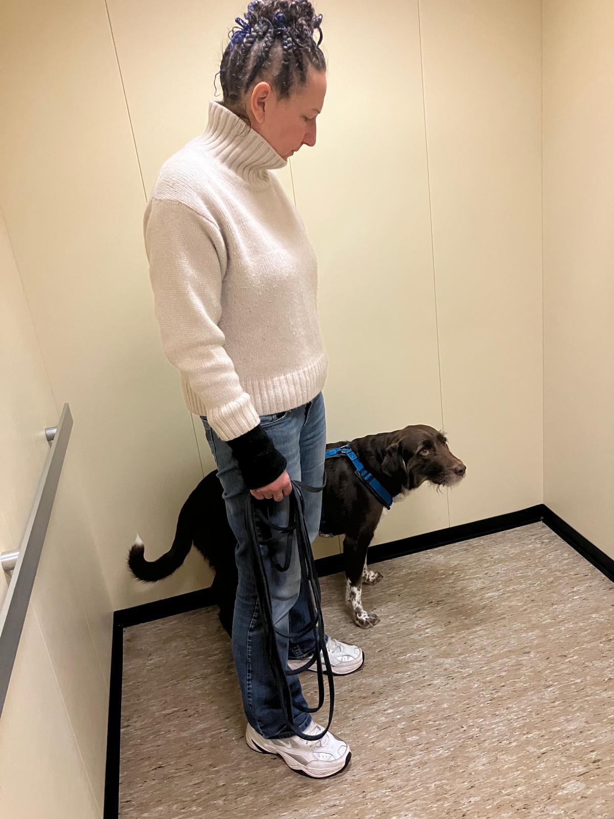 da9441c2-6943-4430-88c4-a0a04bd65470