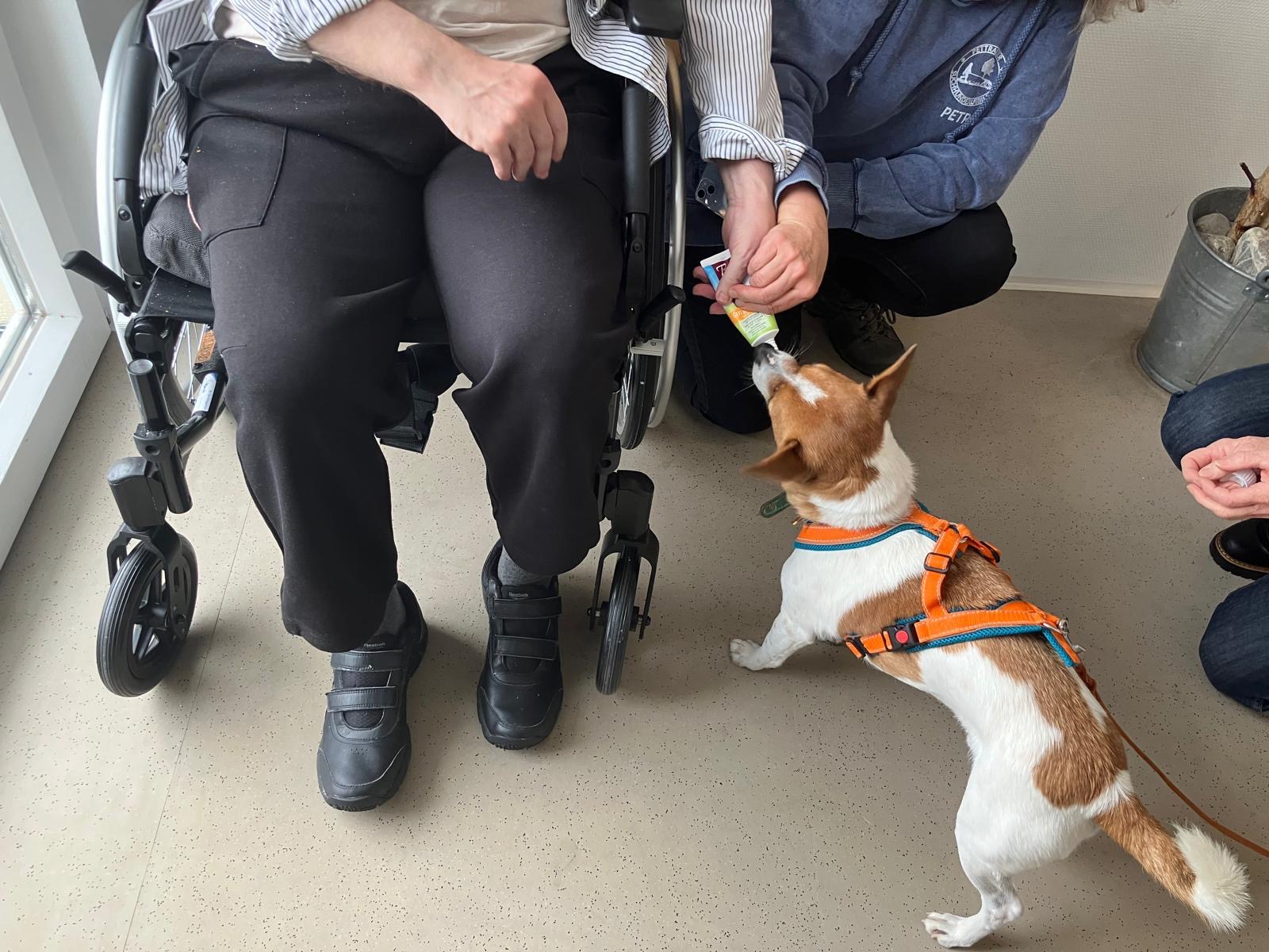 ed1f7911-bfa8-47f4-96dc-9e483bc57d36