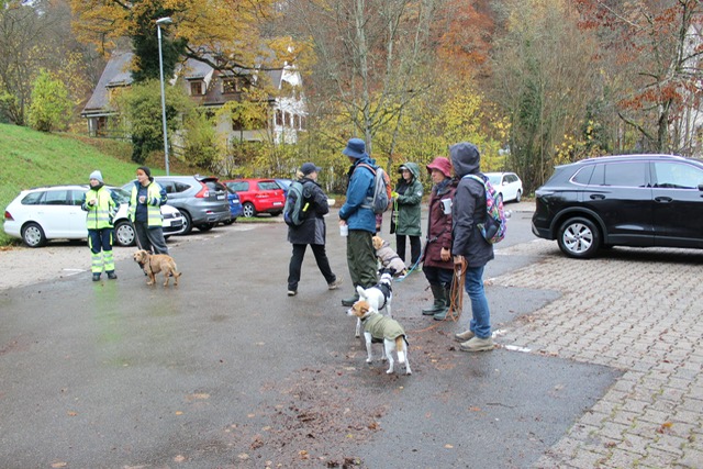 f2943ccd-04c9-40d1-aeef-7ff80246fffc