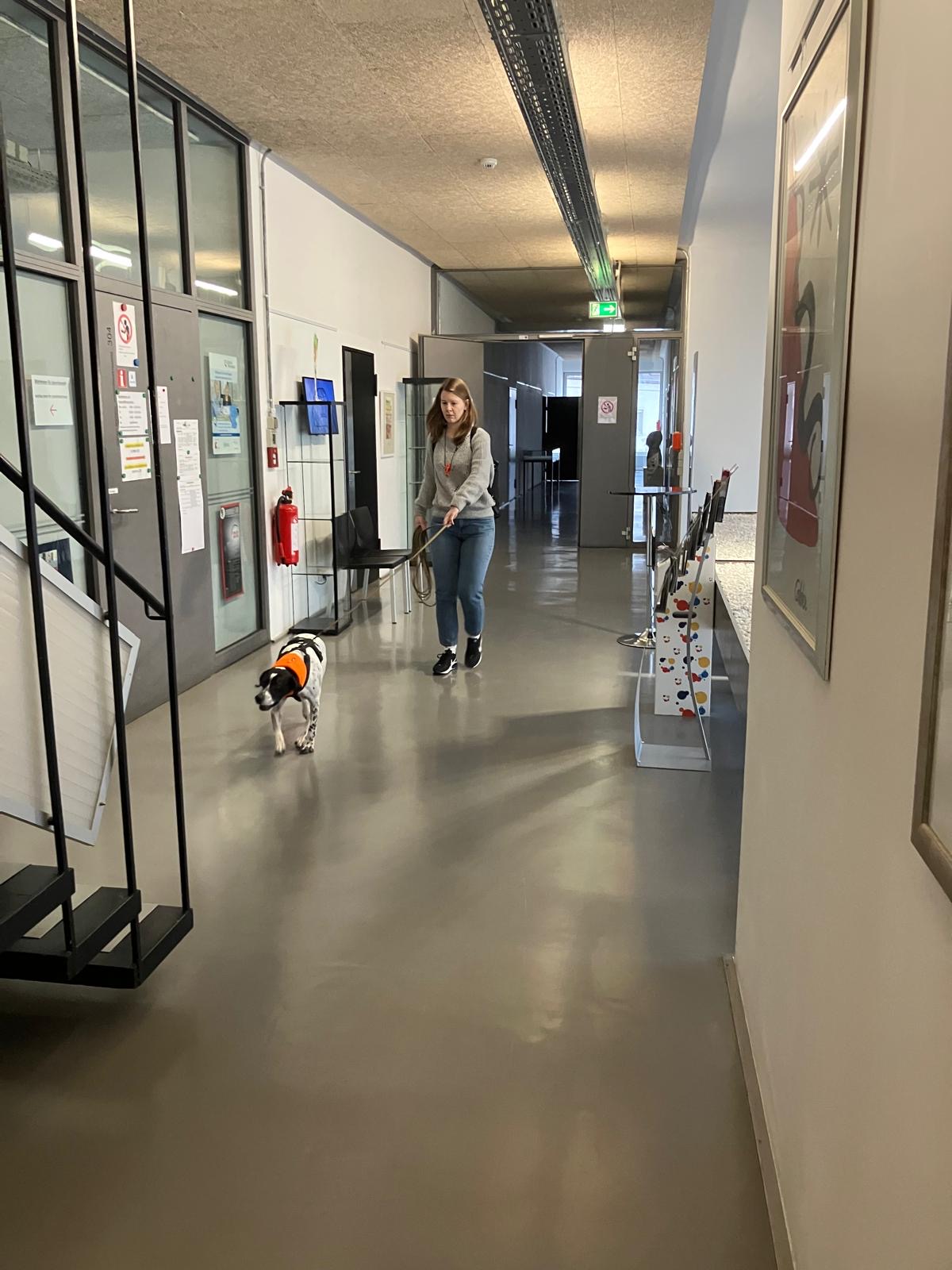 1c0705eb-a0b2-460f-9d94-d589f3e71ba7