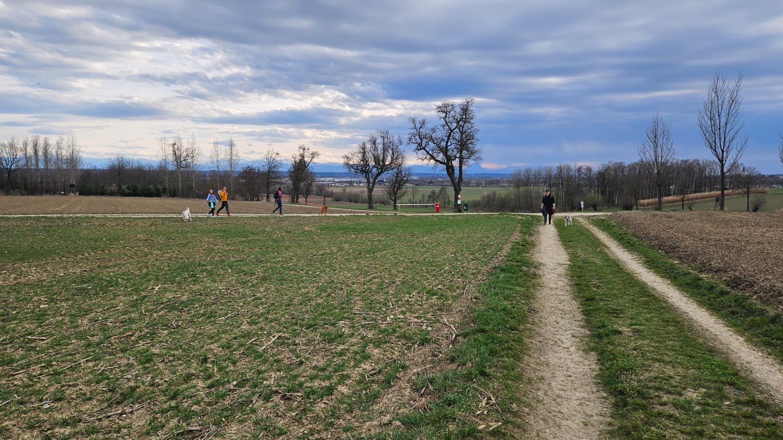 c3c8cd8b-21a2-4a90-a35a-572467c63f38