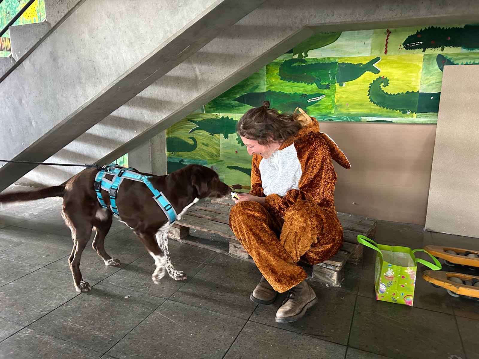 264ab19e-e72f-423a-aa65-5dab19caa1d5