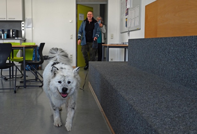 ac499476-ec0d-42b7-8ea6-0d511a54822d