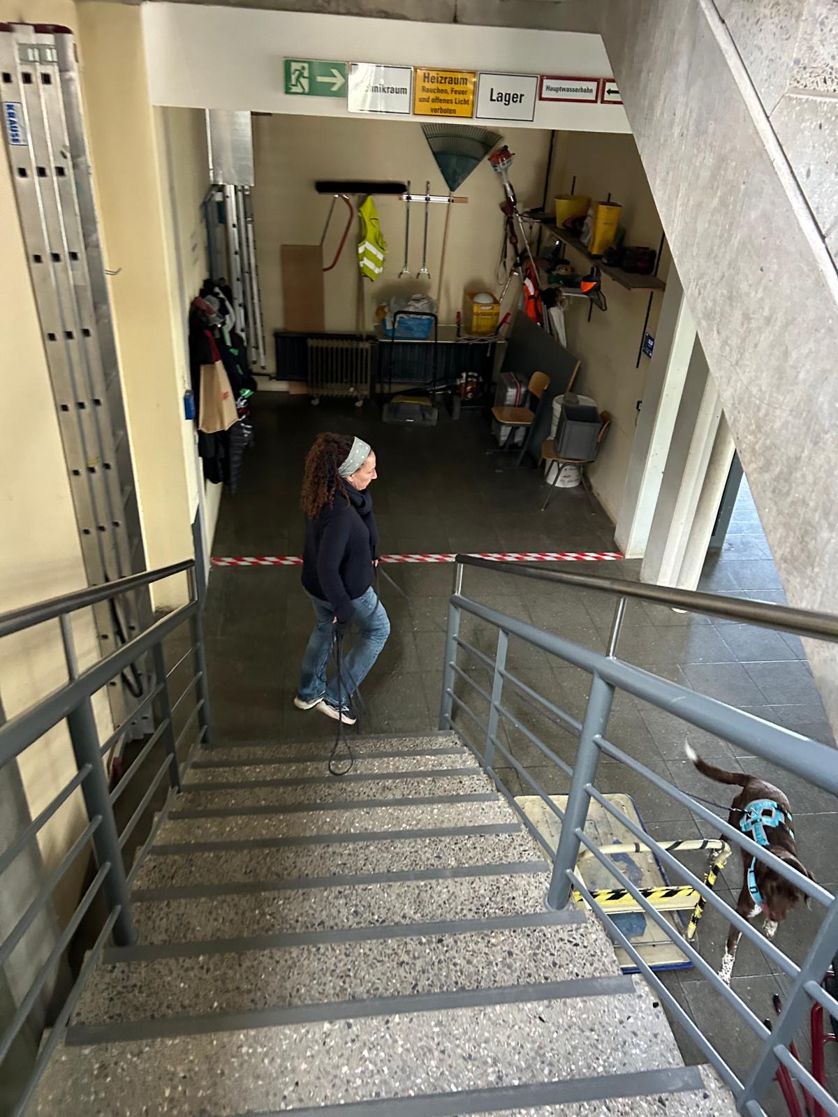 b571e7e9-e883-4e05-b42d-82a79e639d49