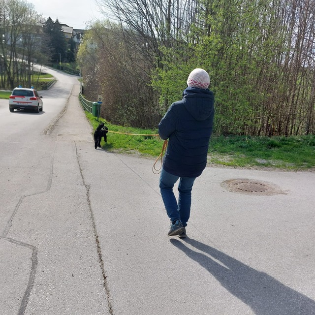 f382a729-ce33-418b-bd26-57977a4a51ef